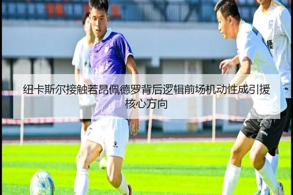 纽卡斯尔接触若昂佩德罗背后逻辑前场机动性成引援核心方向