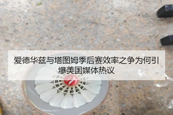 爱德华兹与塔图姆季后赛效率之争为何引爆美国媒体热议